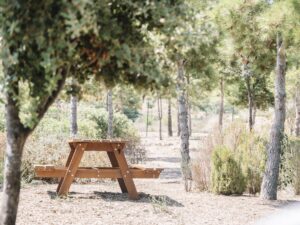 Natural area with wooden table for picnics