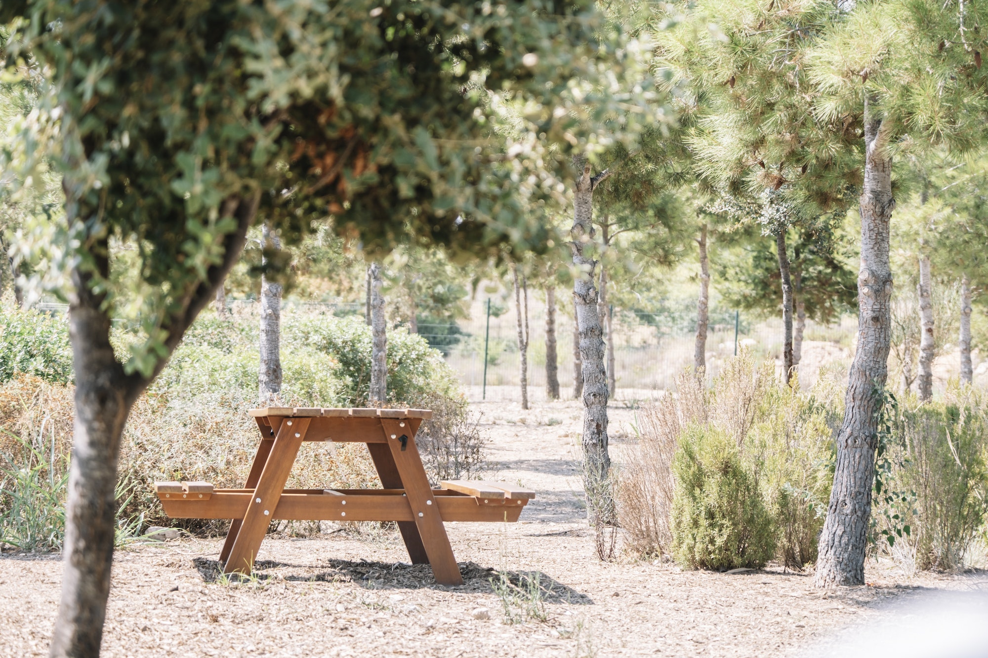 Natural area with wooden table for picnics