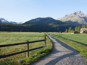 Path through mountain valley